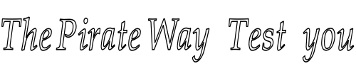 Font : Palatino-Thin-IHC Custom Text : The Pirate Way Test your own text here Click to download or to view this font on a tshirt that can be custom printed in Bali
