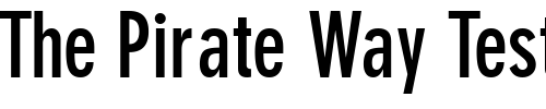 Font : ParallaxGroteskSSK-Bold Custom Text : The Pirate Way Test your own text here Click to download or to view this font on a tshirt that can be custom printed in Bali