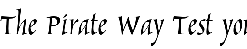 Font : Petunia Custom Text : The Pirate Way Test your own text here Click to download or to view this font on a tshirt that can be custom printed in Bali