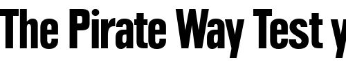Font : Plak-LT-Black-Condensed Custom Text : The Pirate Way Test your own text here Click to download or to view this font on a tshirt that can be custom printed in Bali