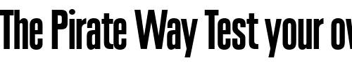 Font : Plak-LT-Black-ExtraCondensed Custom Text : The Pirate Way Test your own text here Click to download or to view this font on a tshirt that can be custom printed in Bali