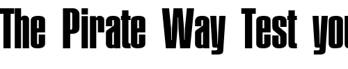 Font : Plakette-DemiBold Custom Text : The Pirate Way Test your own text here Click to download or to view this font on a tshirt that can be custom printed in Bali