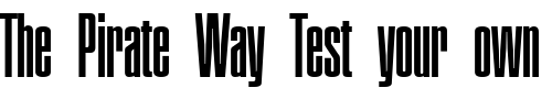 Font : Plakette-Serial-Light-Regular Custom Text : The Pirate Way Test your own text here Click to download or to view this font on a tshirt that can be custom printed in Bali