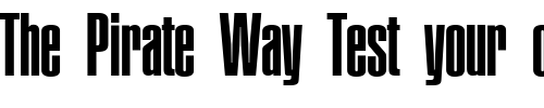 Font : Plakette-Serial-Regular-DB Custom Text : The Pirate Way Test your own text here Click to download or to view this font on a tshirt that can be custom printed in Bali