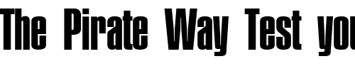 Font : PlaketteThree-Regular Custom Text : The Pirate Way Test your own text here Click to download or to view this font on a tshirt that can be custom printed in Bali