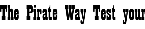 Font : Playhouse-Regular Custom Text : The Pirate Way Test your own text here Click to download or to view this font on a tshirt that can be custom printed in Bali