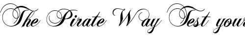 Font : PolonaiseURWDBol Custom Text : The Pirate Way Test your own text here Click to download or to view this font on a tshirt that can be custom printed in Bali