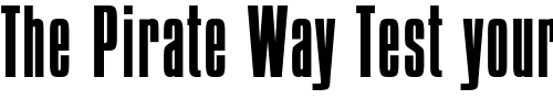 Font : PompejiLight Custom Text : The Pirate Way Test your own text here Click to download or to view this font on a tshirt that can be custom printed in Bali