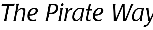 Font : Poppl-Laudatio-Light-Italic Custom Text : The Pirate Way Test your own text here Click to download or to view this font on a tshirt that can be custom printed in Bali