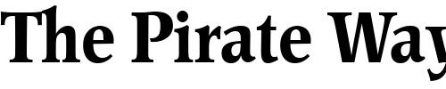 Font : Poppl-Pontifex-BE-Medium-Condensed Custom Text : The Pirate Way Test your own text here Click to download or to view this font on a tshirt that can be custom printed in Bali