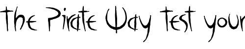 Font : Poseidon-AOE Custom Text : The Pirate Way Test your own text here Click to download or to view this font on a tshirt that can be custom printed in Bali