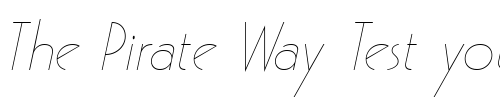Font : Pouf-SSi-Light-Italic Custom Text : The Pirate Way Test your own text here Click to download or to view this font on a tshirt that can be custom printed in Bali