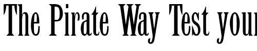 Font : QuantumElongated Custom Text : The Pirate Way Test your own text here Click to download or to view this font on a tshirt that can be custom printed in Bali