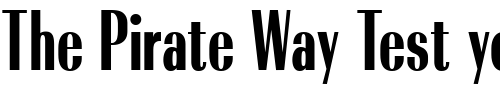 Font : Radiant-Bold-Condensed-Regular Custom Text : The Pirate Way Test your own text here Click to download or to view this font on a tshirt that can be custom printed in Bali
