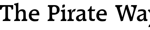 Font : RaleighDDemBol Custom Text : The Pirate Way Test your own text here Click to download or to view this font on a tshirt that can be custom printed in Bali