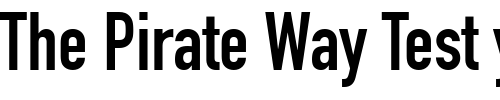 Font : Reducto-Condensed-SSi-Condensed Custom Text : The Pirate Way Test your own text here Click to download or to view this font on a tshirt that can be custom printed in Bali