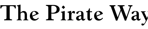 Font : Revivl555-BT-Bold Custom Text : The Pirate Way Test your own text here Click to download or to view this font on a tshirt that can be custom printed in Bali