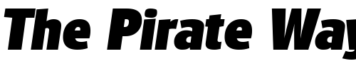 Font : RichardBecker-Heavy-Italic Custom Text : The Pirate Way Test your own text here Click to download or to view this font on a tshirt that can be custom printed in Bali