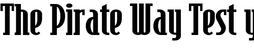 Font : Risky-Business-Old-style-NF Custom Text : The Pirate Way Test your own text here Click to download or to view this font on a tshirt that can be custom printed in Bali