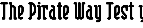 Font : Risky-Business-Round-NF-Bold Custom Text : The Pirate Way Test your own text here Click to download or to view this font on a tshirt that can be custom printed in Bali