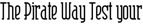 Font : Risky-Business-Square-NF-Light Custom Text : The Pirate Way Test your own text here Click to download or to view this font on a tshirt that can be custom printed in Bali
