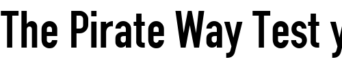 Font : Roadgeek-2005-Engschrift Custom Text : The Pirate Way Test your own text here Click to download or to view this font on a tshirt that can be custom printed in Bali