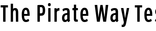 Font : Roadgeek-2005-Series-1B Custom Text : The Pirate Way Test your own text here Click to download or to view this font on a tshirt that can be custom printed in Bali
