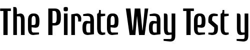 Font : Rogue-Sans-Cond-Light Custom Text : The Pirate Way Test your own text here Click to download or to view this font on a tshirt that can be custom printed in Bali