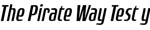 Font : Rogue-Sans-Cond-Light-Italic Custom Text : The Pirate Way Test your own text here Click to download or to view this font on a tshirt that can be custom printed in Bali