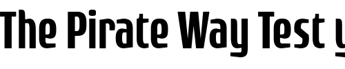 Font : Rogue-Sans-Cond-Medium Custom Text : The Pirate Way Test your own text here Click to download or to view this font on a tshirt that can be custom printed in Bali