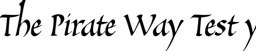 Font : SallandoItalic Custom Text : The Pirate Way Test your own text here Click to download or to view this font on a tshirt that can be custom printed in Bali