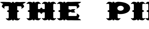 Font : SaloonExt-Wd Custom Text : The Pirate Way Test your own text here Click to download or to view this font on a tshirt that can be custom printed in Bali