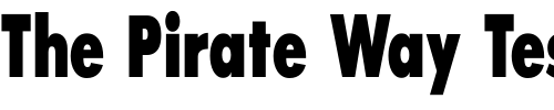 Font : SansSerifExbFLFCond Custom Text : The Pirate Way Test your own text here Click to download or to view this font on a tshirt that can be custom printed in Bali