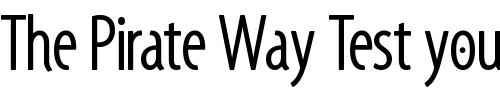 Font : Santana-RegularCondensed Custom Text : The Pirate Way Test your own text here Click to download or to view this font on a tshirt that can be custom printed in Bali