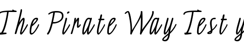 Font : Saphire-Light-Script Custom Text : The Pirate Way Test your own text here Click to download or to view this font on a tshirt that can be custom printed in Bali