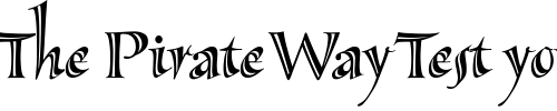 Font : Sassafras-Lx Custom Text : The Pirate Way Test your own text here Click to download or to view this font on a tshirt that can be custom printed in Bali
