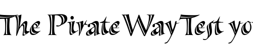 Font : Sassafras-Sx Custom Text : The Pirate Way Test your own text here Click to download or to view this font on a tshirt that can be custom printed in Bali