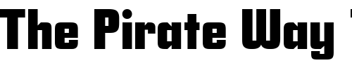 Font : SavingsBond Custom Text : The Pirate Way Test your own text here Click to download or to view this font on a tshirt that can be custom printed in Bali