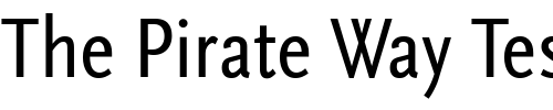 Font : Scala-Sans-Regular-Cn Custom Text : The Pirate Way Test your own text here Click to download or to view this font on a tshirt that can be custom printed in Bali