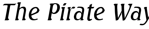 Font : Seabird-Light-SF-Italic Custom Text : The Pirate Way Test your own text here Click to download or to view this font on a tshirt that can be custom printed in Bali