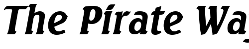 Font : Seagull-BoldIta Custom Text : The Pirate Way Test your own text here Click to download or to view this font on a tshirt that can be custom printed in Bali