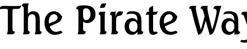 Font : Seagull-Md-BT-Medium Custom Text : The Pirate Way Test your own text here Click to download or to view this font on a tshirt that can be custom printed in Bali