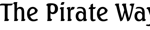 Font : Seagull-Medium-BT Custom Text : The Pirate Way Test your own text here Click to download or to view this font on a tshirt that can be custom printed in Bali