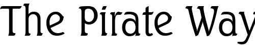 Font : Seagull-Serial-Light-Regular Custom Text : The Pirate Way Test your own text here Click to download or to view this font on a tshirt that can be custom printed in Bali