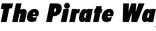 Font : SeighDisplaySSK-Italic Custom Text : The Pirate Way Test your own text here Click to download or to view this font on a tshirt that can be custom printed in Bali