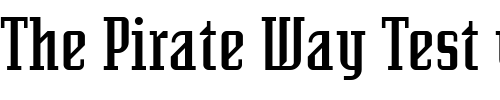 Font : SenatorDemi-Regular Custom Text : The Pirate Way Test your own text here Click to download or to view this font on a tshirt that can be custom printed in Bali