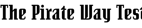 Font : SenatorUltra-Regular Custom Text : The Pirate Way Test your own text here Click to download or to view this font on a tshirt that can be custom printed in Bali