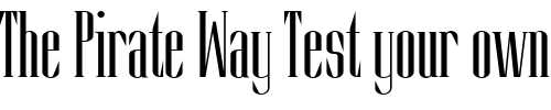 Font : Slim-Kim-Plain-PDF Custom Text : The Pirate Way Test your own text here Click to download or to view this font on a tshirt that can be custom printed in Bali