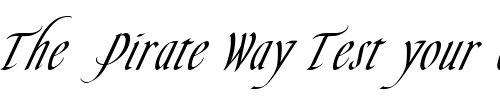 Font : Sliver-Normal Custom Text : The Pirate Way Test your own text here Click to download or to view this font on a tshirt that can be custom printed in Bali