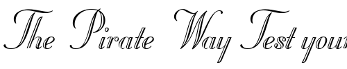 Font : StuyvesantICG-Eng Custom Text : The Pirate Way Test your own text here Click to download or to view this font on a tshirt that can be custom printed in Bali